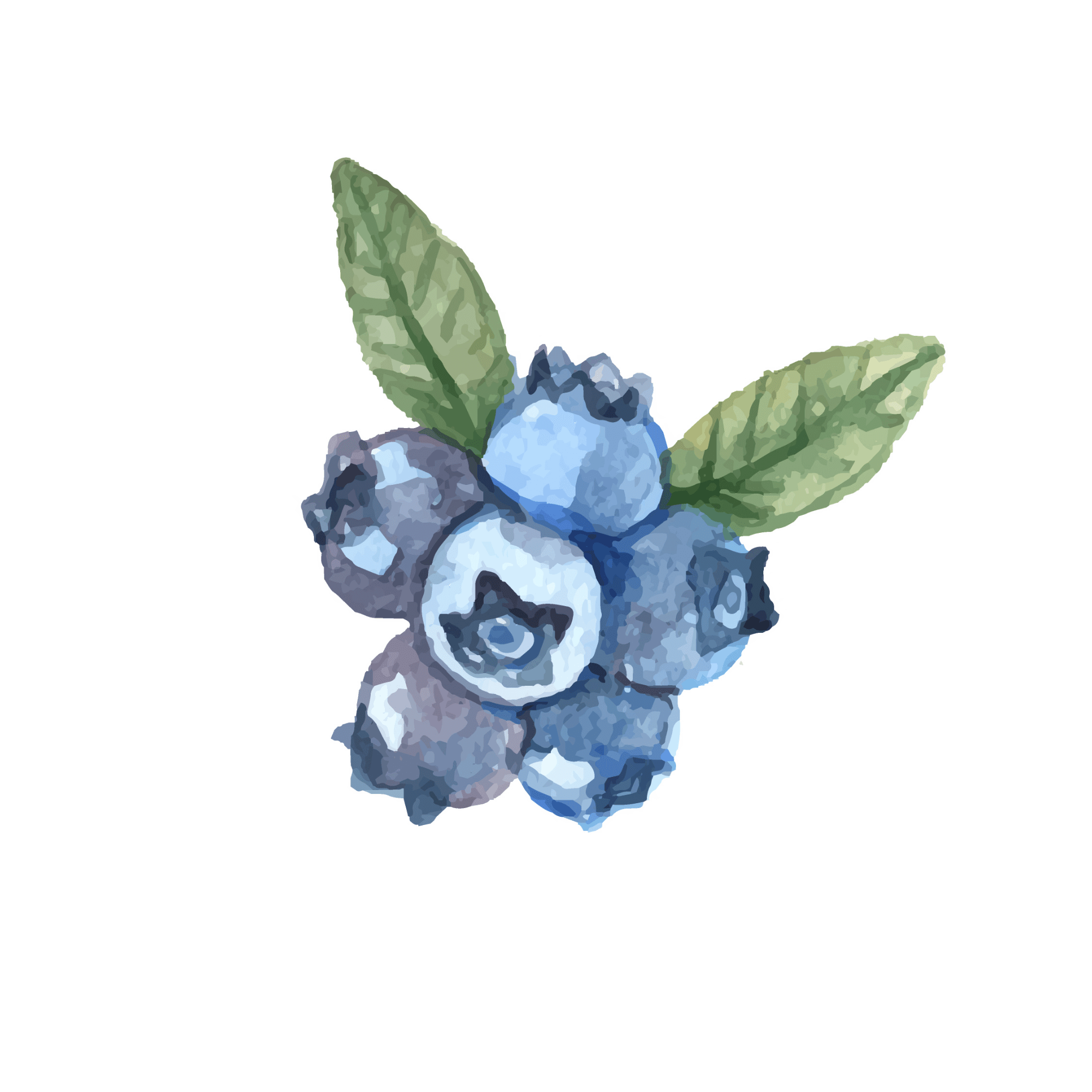 Blueberry