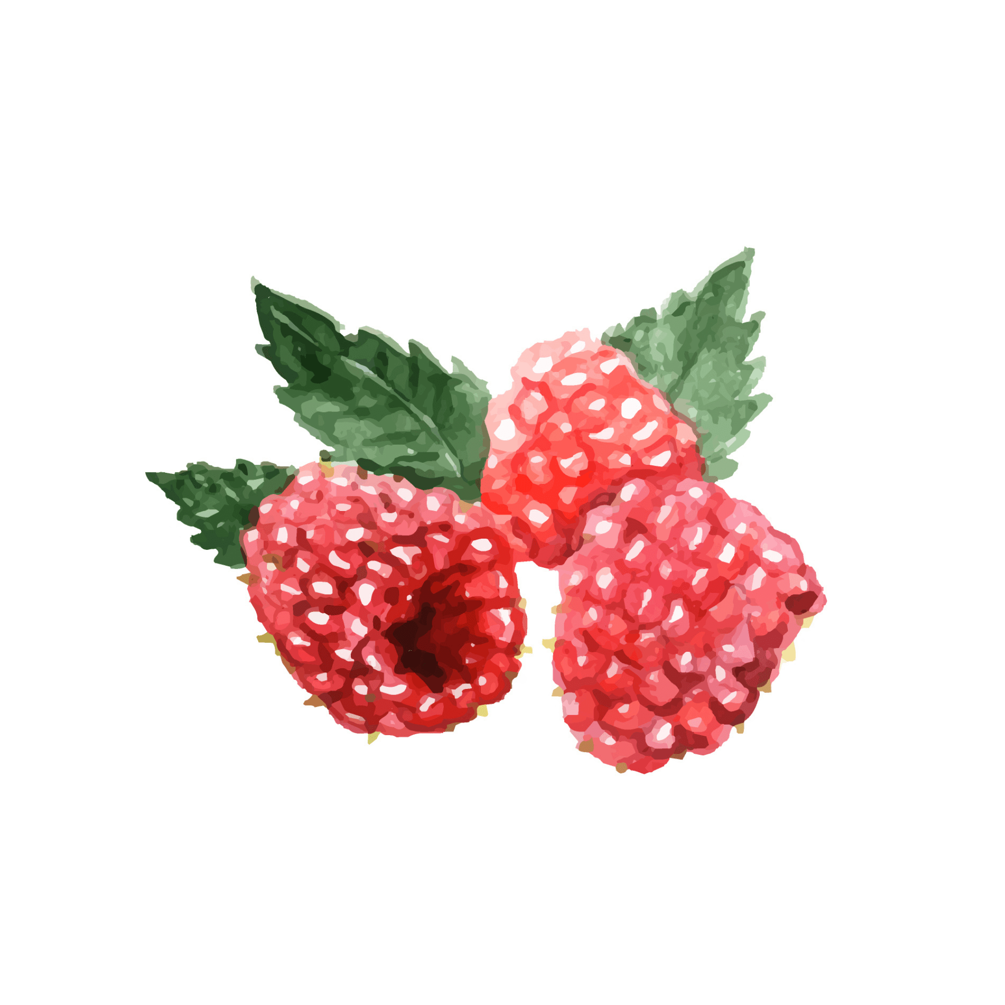 Raspberry