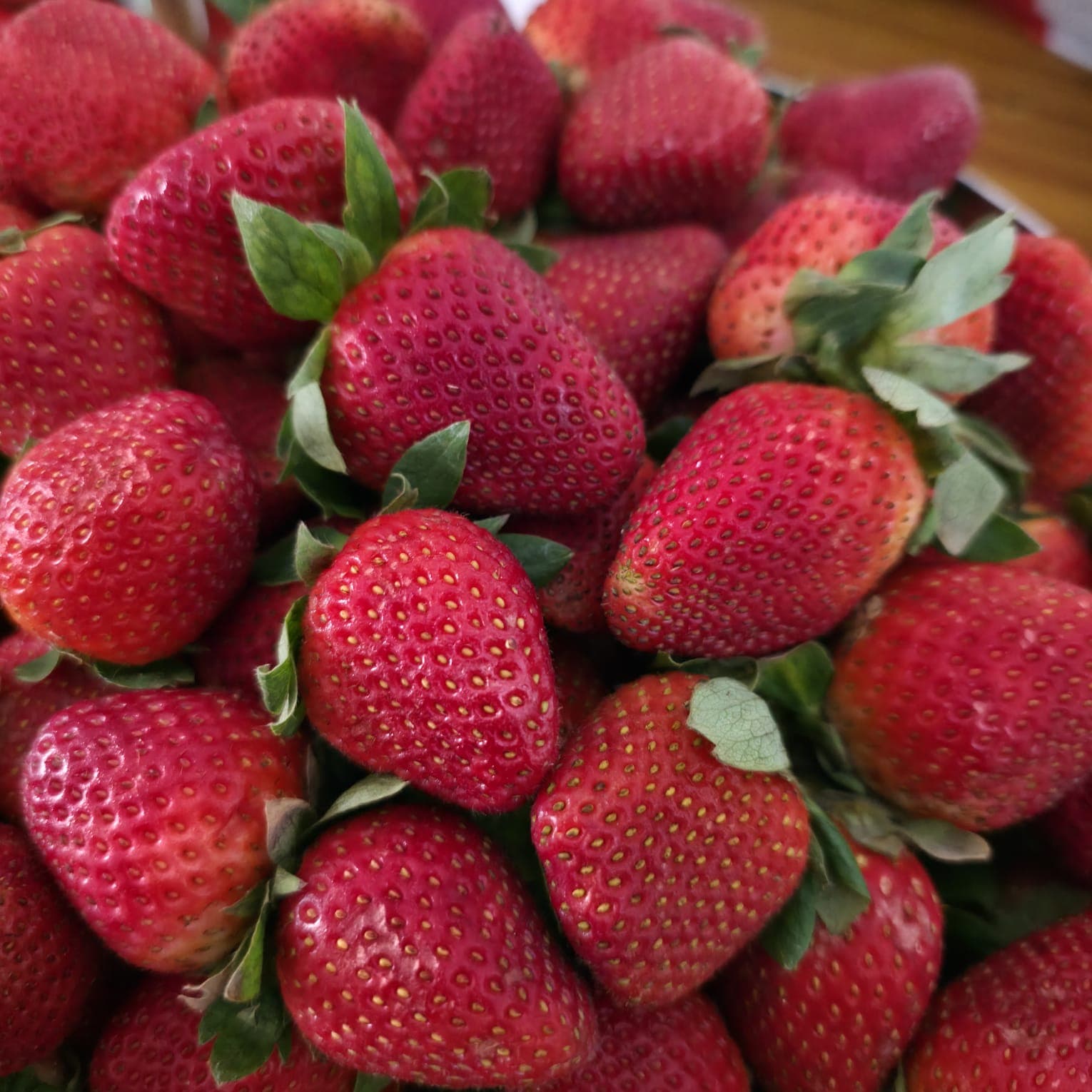 Strawberries on the farm