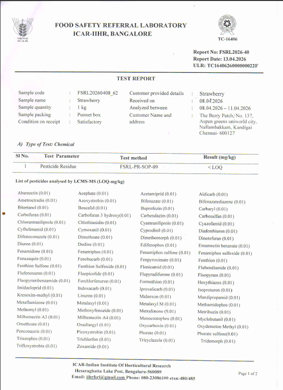 Lab Report - Page 1 of 2